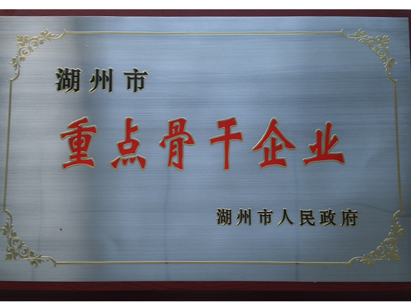 2010湖州市重點(diǎn)中堅(jiān)企業(yè)