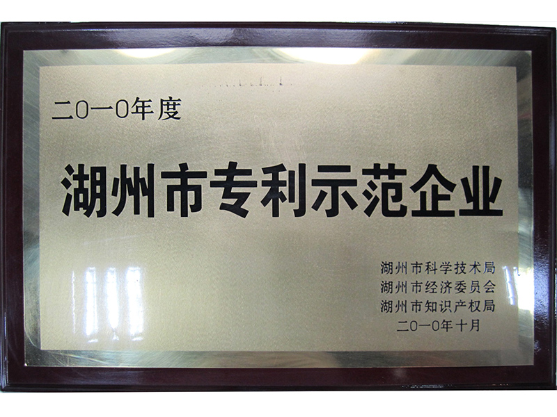 2010湖州市特許試験企業(yè)